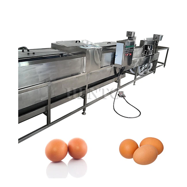 Chicken Duck Egg Washing Machine